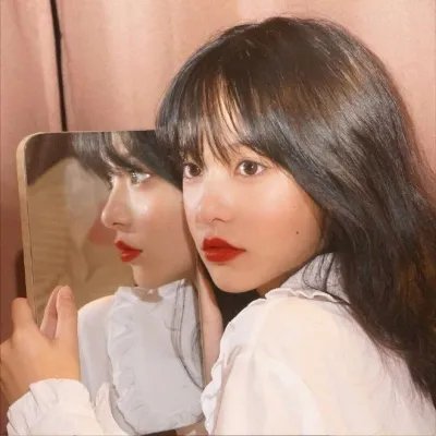 了解你的兔子